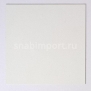 Белый экран с черной подложкой для фронтальной проекции Tuechler BLACKBACK белый — купить в Москве в интернет-магазине Snabimport