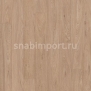 Коммерческий линолеум Forbo Eternal original 10432 grey washed oak — купить в Москве в интернет-магазине Snabimport