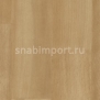 Коммерческий линолеум Forbo Eternal Wood 11442 — купить в Москве в интернет-магазине Snabimport