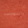 Натуральный линолеум Armstrong Marmorette PUR 125-008 (2,5 мм) — купить в Москве в интернет-магазине Snabimport