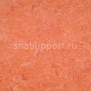 Натуральный линолеум Armstrong Marmorette PUR 125-019 (2,5 мм) — купить в Москве в интернет-магазине Snabimport