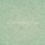 Натуральный линолеум Armstrong Marmorette PUR 125-020 (2,5 мм) — купить в Москве в интернет-магазине Snabimport