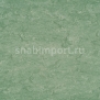 Натуральный линолеум Armstrong Marmorette PUR 125-043 (2,5 мм)
