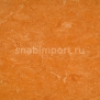 Натуральный линолеум Armstrong Marmorette PUR 125-073 (2,5 мм) — купить в Москве в интернет-магазине Snabimport
