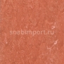 Натуральный линолеум Armstrong Marmorette PUR 125-115 (2,5 мм) — купить в Москве в интернет-магазине Snabimport