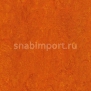 Натуральный линолеум Armstrong Marmorette PUR 125-117 (2,5 мм) — купить в Москве в интернет-магазине Snabimport