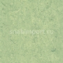 Натуральный линолеум Armstrong Marmorette PUR 125-130 (2,5 мм) — купить в Москве в интернет-магазине Snabimport