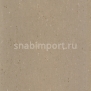 Натуральный линолеум Armstrong Colorette PUR 137-043 (2,5 мм)