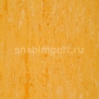 Натуральный линолеум Armstrong Linodur LPX 151-074 — купить в Москве в интернет-магазине Snabimport