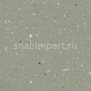 Противоскользящий линолеум Forbo Surestep original 171442