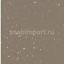 Противоскользящий линолеум Forbo Surestep star 176262
