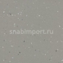 Противоскользящий линолеум Forbo Surestep star 176922