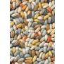 Ковры Brink Campman Stone 18813 (1,4 м*2 м) — купить в Москве в интернет-магазине Snabimport