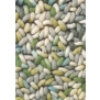 Ковры Brink Campman Stone 18817 (1,4 м*2 м) — купить в Москве в интернет-магазине Snabimport