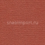 Ковровое покрытие Vorwerk DIMODA 2014 1K56 оранжевый — купить в Москве в интернет-магазине Snabimport