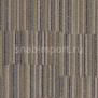 Ковровое покрытие Forbo Flotex Stratus 242001