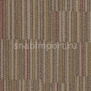 Ковровое покрытие Forbo Flotex Stratus 242003