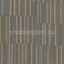 Ковровое покрытие Forbo Flotex Stratus 242004