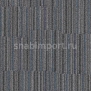 Ковровое покрытие Forbo Flotex Stratus 242014