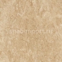 Натуральный линолеум Forbo Marmoleum Real 2707