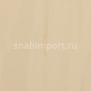 Сценический линолеум Rosco Arabesque — купить в Москве в интернет-магазине Snabimport