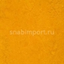 Натуральный линолеум Forbo Marmoleum decibel 312535 — купить в Москве в интернет-магазине Snabimport