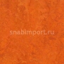 Натуральный линолеум Forbo Marmoleum decibel 312635 — купить в Москве в интернет-магазине Snabimport