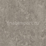 Натуральный линолеум Forbo Marmoleum Real 3146 — купить в Москве в интернет-магазине Snabimport