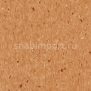 Акустический линолеум Tarkett IQ Granit Acoustic 3221375