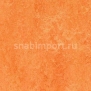 Натуральный линолеум Forbo Marmoleum Real 3241