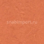 Натуральный линолеум Forbo Marmoleum Real 3243