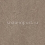 Натуральный линолеум Forbo Marmoleum Real 3246