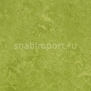 Натуральный линолеум Forbo Marmoleum Real 3247