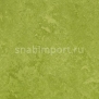 Натуральный линолеум Forbo Marmoleum decibel 324735 — купить в Москве в интернет-магазине Snabimport