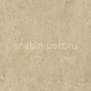 Натуральный линолеум Forbo Marmoleum Real 3249