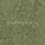 Натуральный линолеум Forbo Marmoleum Real 3255