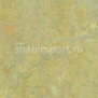 Натуральный линолеум Forbo Marmoleum Marbled Vivace 3413