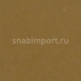 Натуральный линолеум Forbo Unexpected Nature 3564 — купить в Москве в интернет-магазине Snabimport