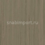 Натуральный линолеум Forbo Unexpected Nature 3571 — купить в Москве в интернет-магазине Snabimport