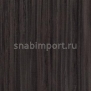 Натуральный линолеум Forbo Unexpected Nature 3577 — купить в Москве в интернет-магазине Snabimport