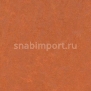 Натуральный линолеум Forbo Marmoleum Fresco 3870
