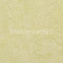 Натуральный линолеум Forbo Marmoleum Fresco 3881