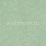 Натуральный линолеум Forbo Marmoleum Fresco 3882