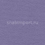 Ковровое покрытие Vorwerk DUNA 2014 3L33 фиолетовый — купить в Москве в интернет-магазине Snabimport