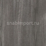 Дизайн плитка Forbo Effekta Professional 4013 P Grey Pine PRO