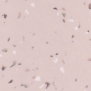 Коммерческий линолеум Gerflor Mipolam Biostyl 4013 Sabbia