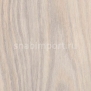 Дизайн плитка Forbo Effekta Professional 4021 P Creme Rustic Oak PRO