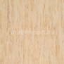 Коммерческий линолеум Armstrong Cenit PUR 411-062 — купить в Москве в интернет-магазине Snabimport