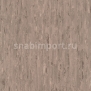 Коммерческий линолеум Armstrong Cenit PUR 411-064 — купить в Москве в интернет-магазине Snabimport