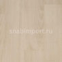 Акустический линолеум Forbo Sarlon Wood 436213 Бежевый — купить в Москве в интернет-магазине Snabimport